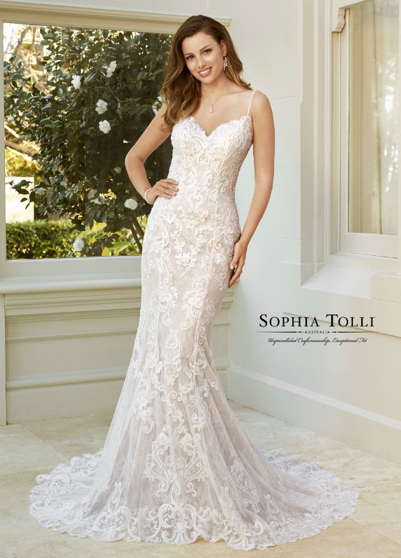 sophia tolli y21376