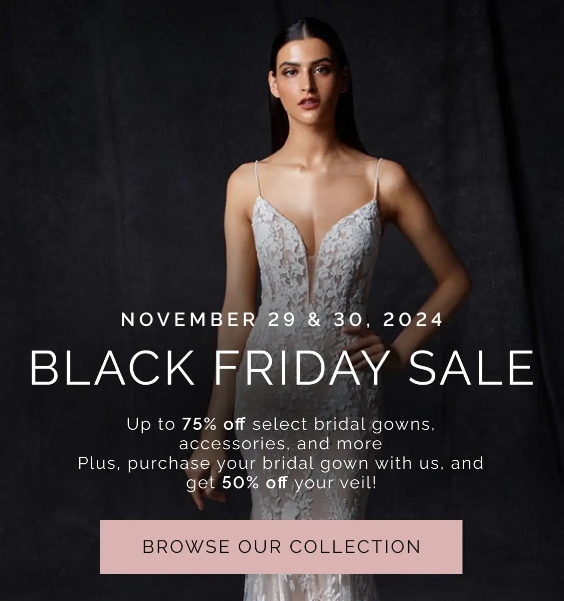 Black Friday Sale